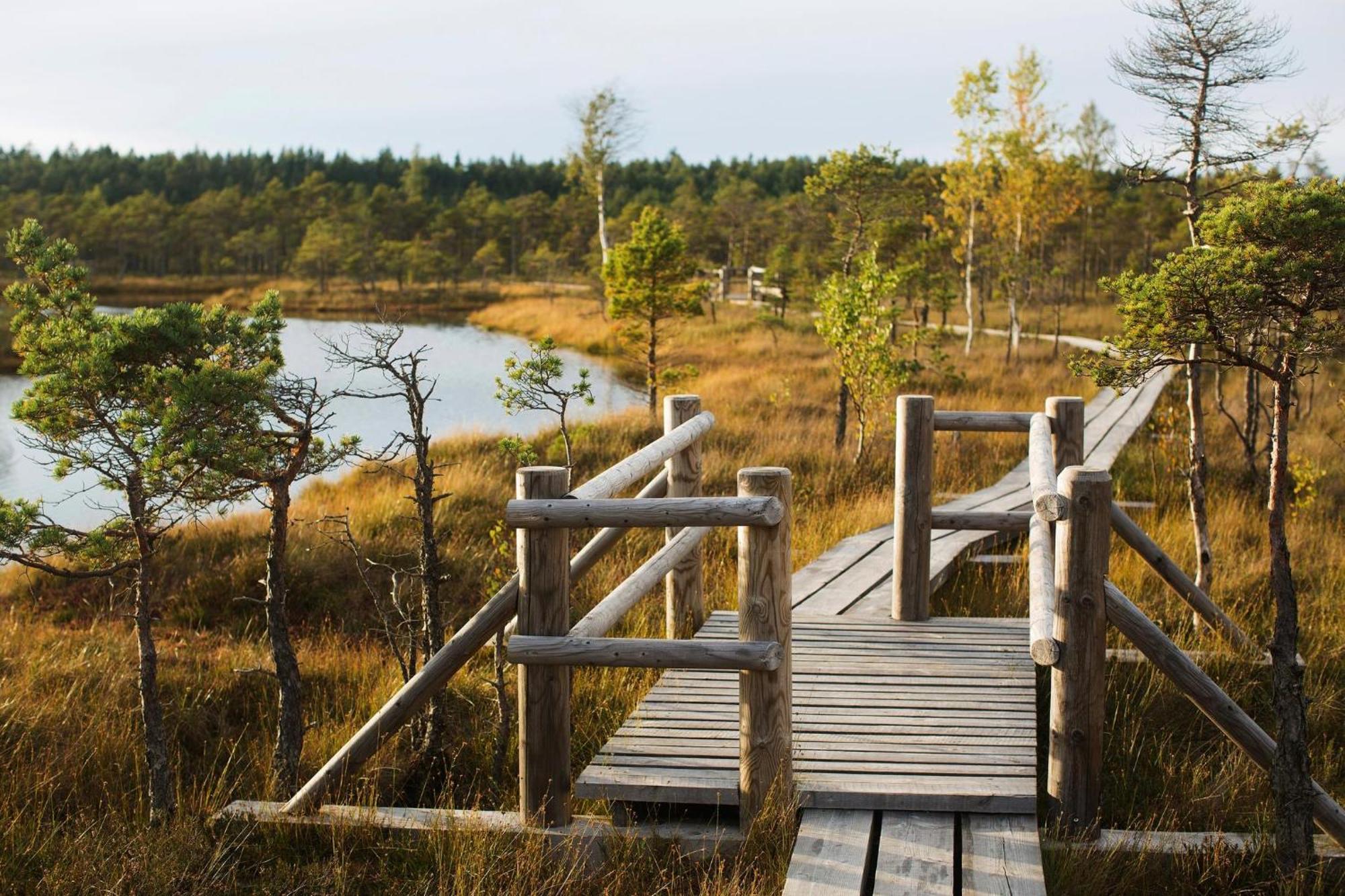 Apartment Near Baltic Sea 2 ยูร์มาลา ภายนอก รูปภาพ